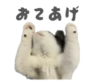 824810983