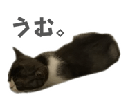 824810988
