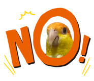 824818075