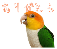 824818079