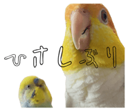 824818081