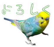 824818086