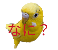 824835849
