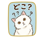 824847685