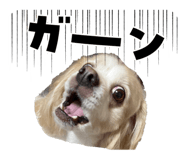 824850106