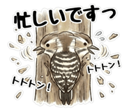 824861625