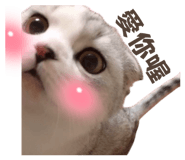824866464