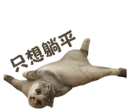 824866465