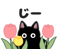 824878584