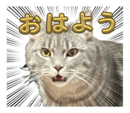 824886481