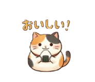824902285