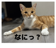 824910801