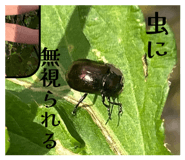 824911363