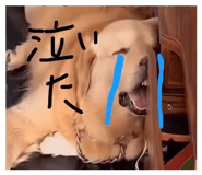 824913619