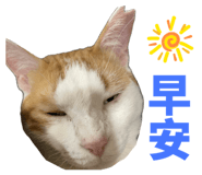 824916065