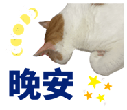 824916066