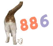 824916070
