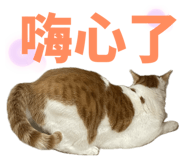 824916078