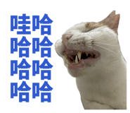 824916083
