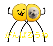 824928923