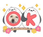824928924