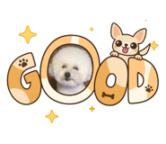 824928925