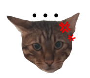 824982586