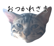 824982602