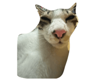 824993737