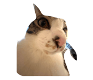 824993739
