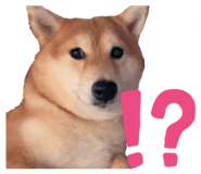 824994571
