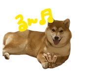 824994576