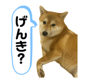824994578