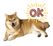 824994582