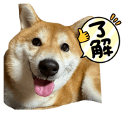 824994587