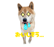 824994589