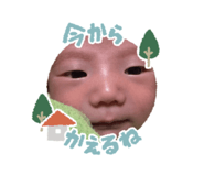824996686