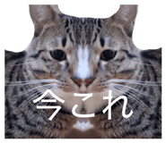 824996925