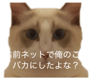 824996926