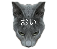 824996927