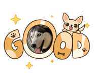 825006134