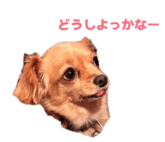 825010324