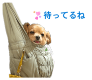 825010327