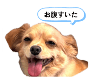 825010333