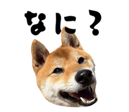 825019178