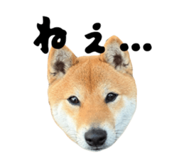 825019180