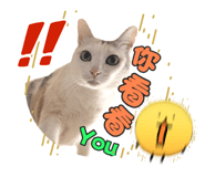 825030679