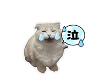 825037145