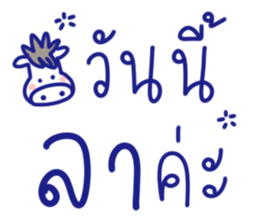 ลายที่ 77