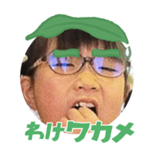 825046262